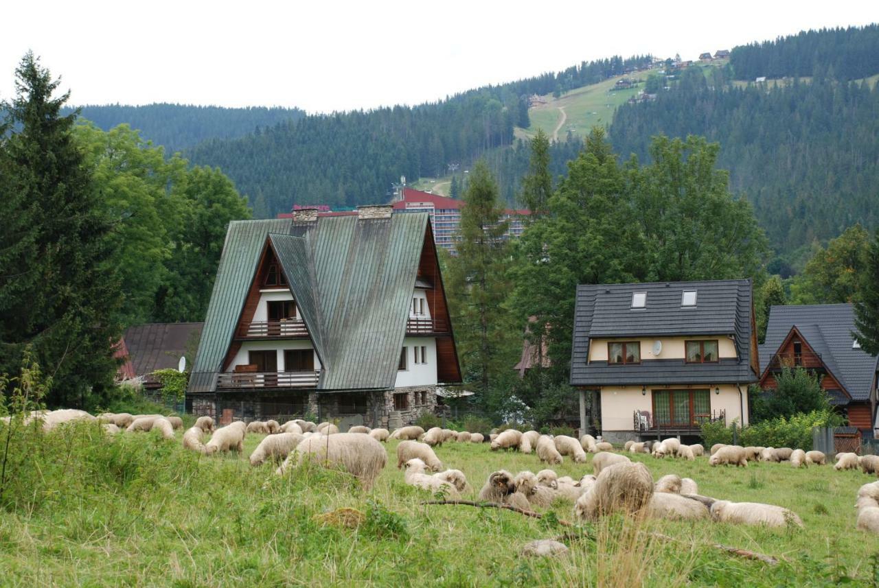 Domek Na Wierchu I Apartament Na Wierchu Закопане Экстерьер фото